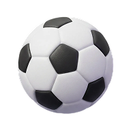 Coupe du Monde